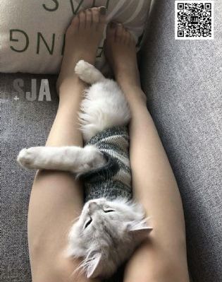 机密重案之绝命诱惑电影免费观看