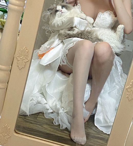 猫和老鼠中文版普通话免费观看