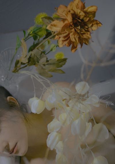 神雕侠侣 刘亦菲
