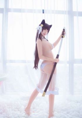 炽道电视剧全集在线观看
