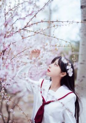 破产姐妹第一季 电视剧